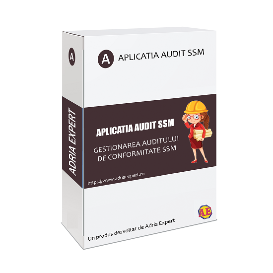 aplicatie ssm audit ssm