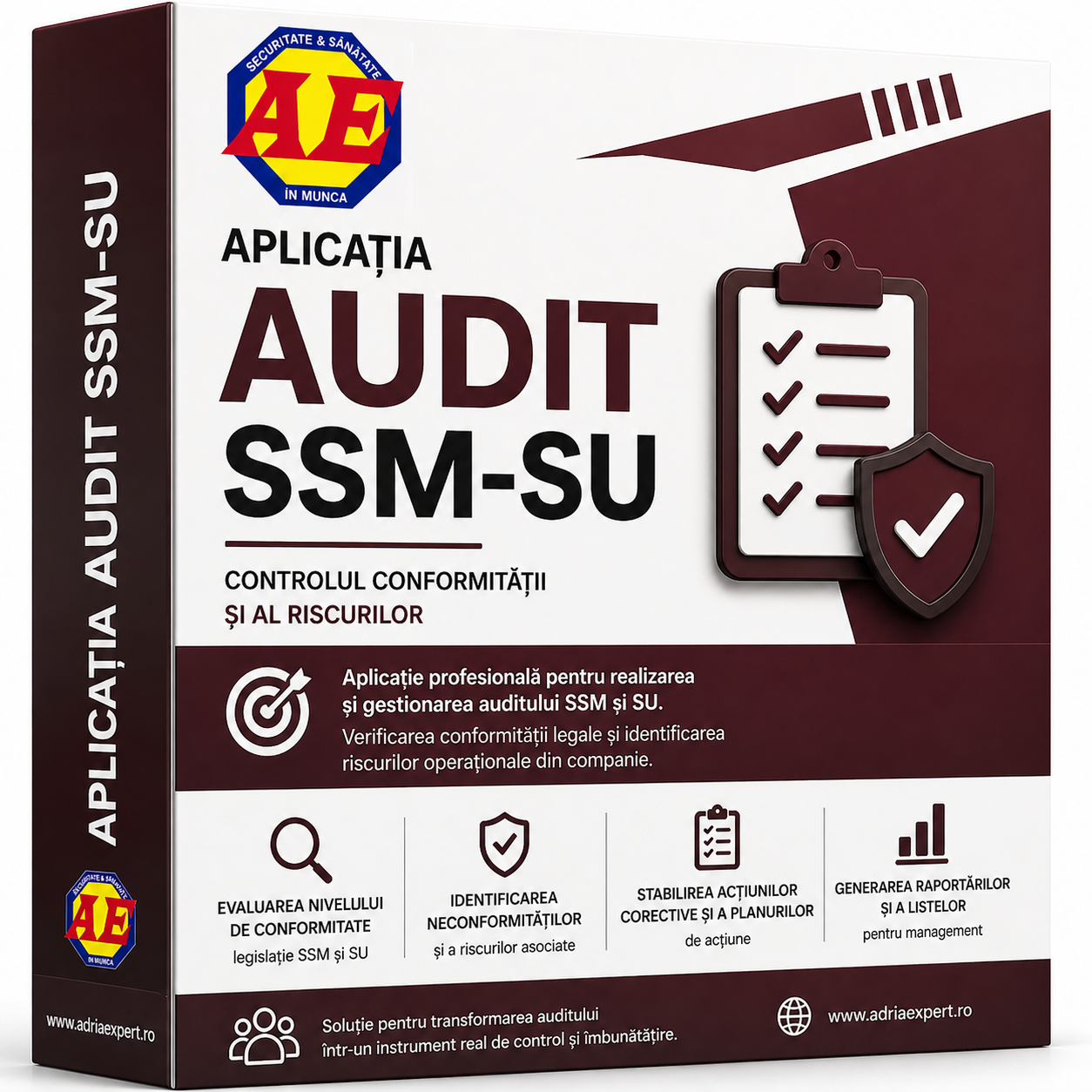 aplicatia ssm audit ssm